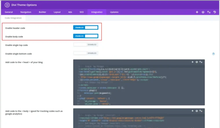 A screenshot of the integrations Divi theme options screen.